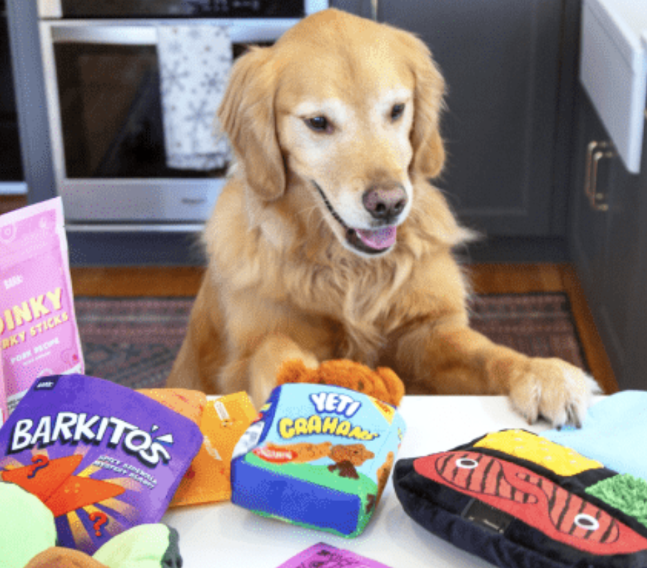 Happy dog with toys